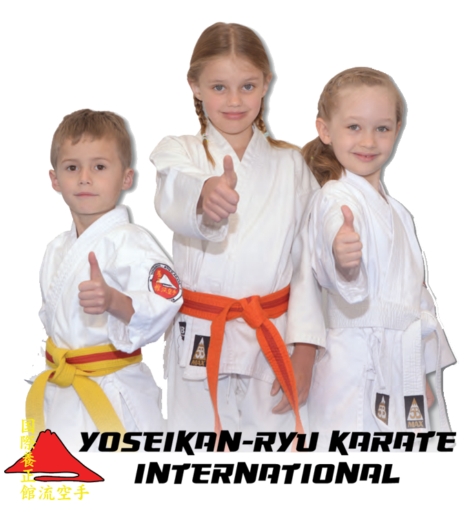 Free Karate Classes